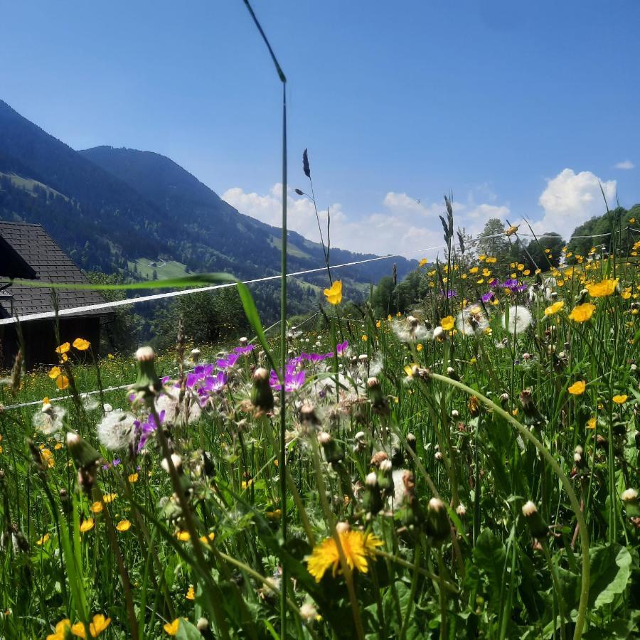 Sunnaschi Appartements - Wohnungen Oder Gesamt Als "Huette" Laterns Kültér fotó