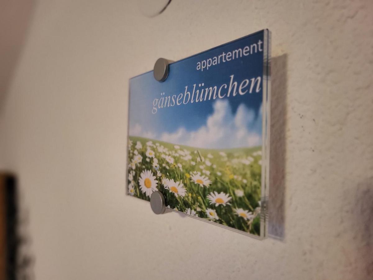Sunnaschi Appartements - Wohnungen Oder Gesamt Als "Huette" Laterns Kültér fotó